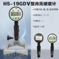 肖氏硬度计 HS-19GDV